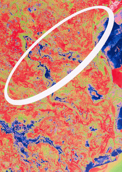 AAV n.2 - Image 3
