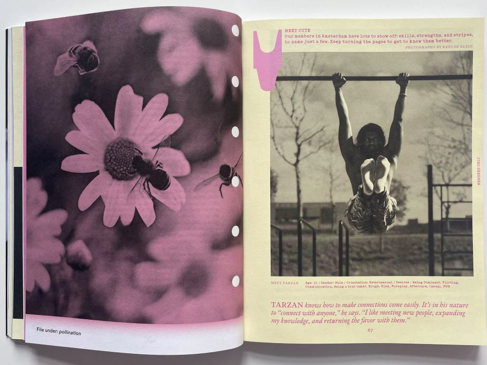 AFM n.002 - Image 3
