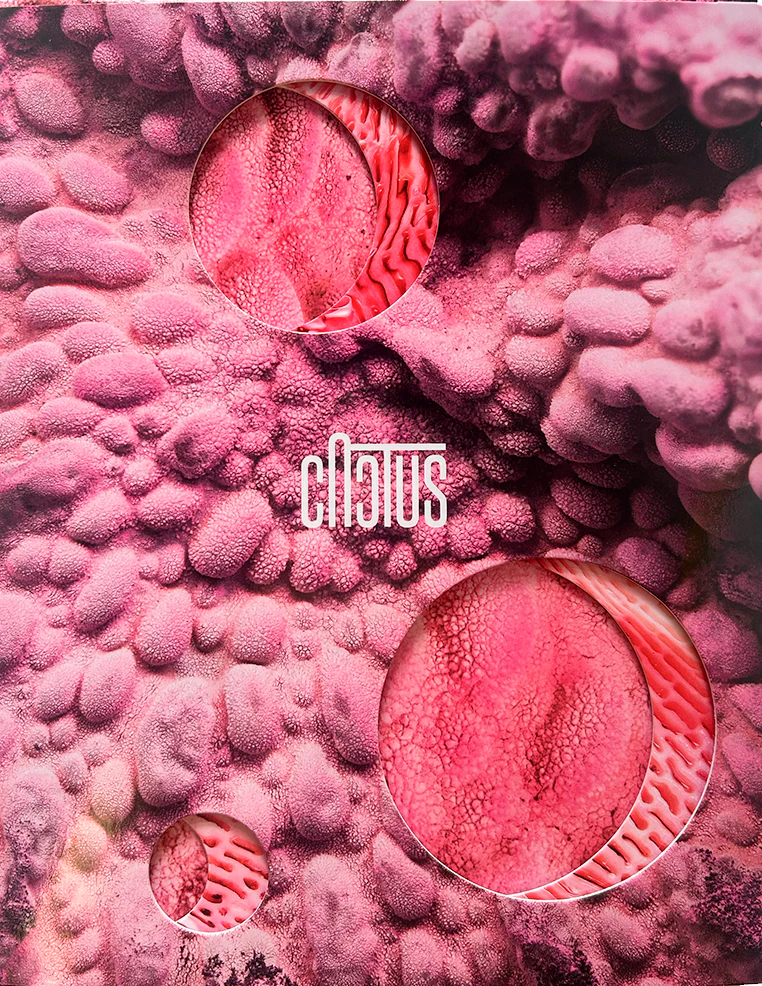Cactus n.21