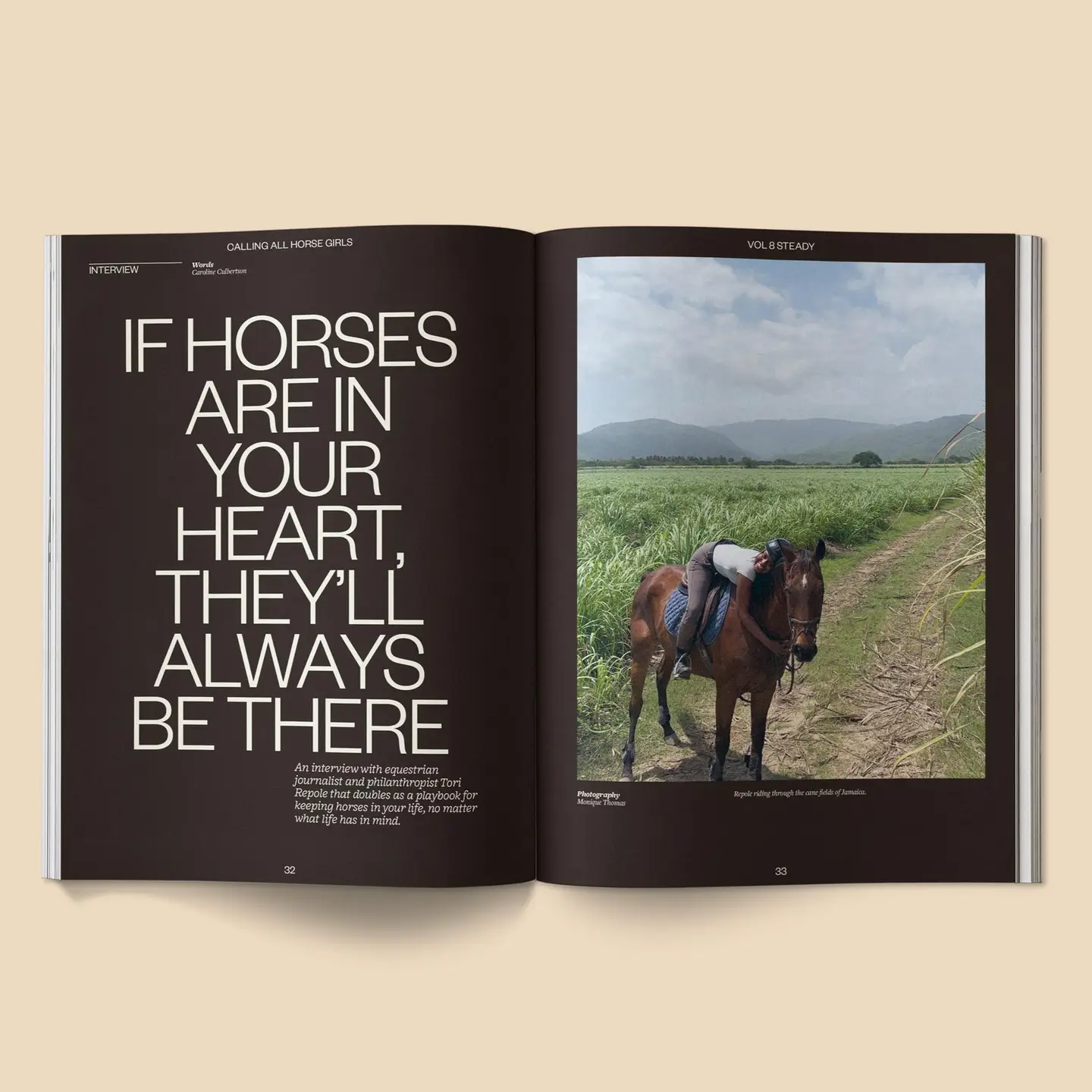 Calling All Horse Girls n.8 - Image 6