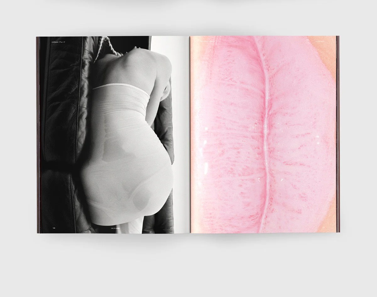 Carnale n.8 - Image 4