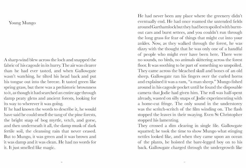 Cartography n.10 - Image 8