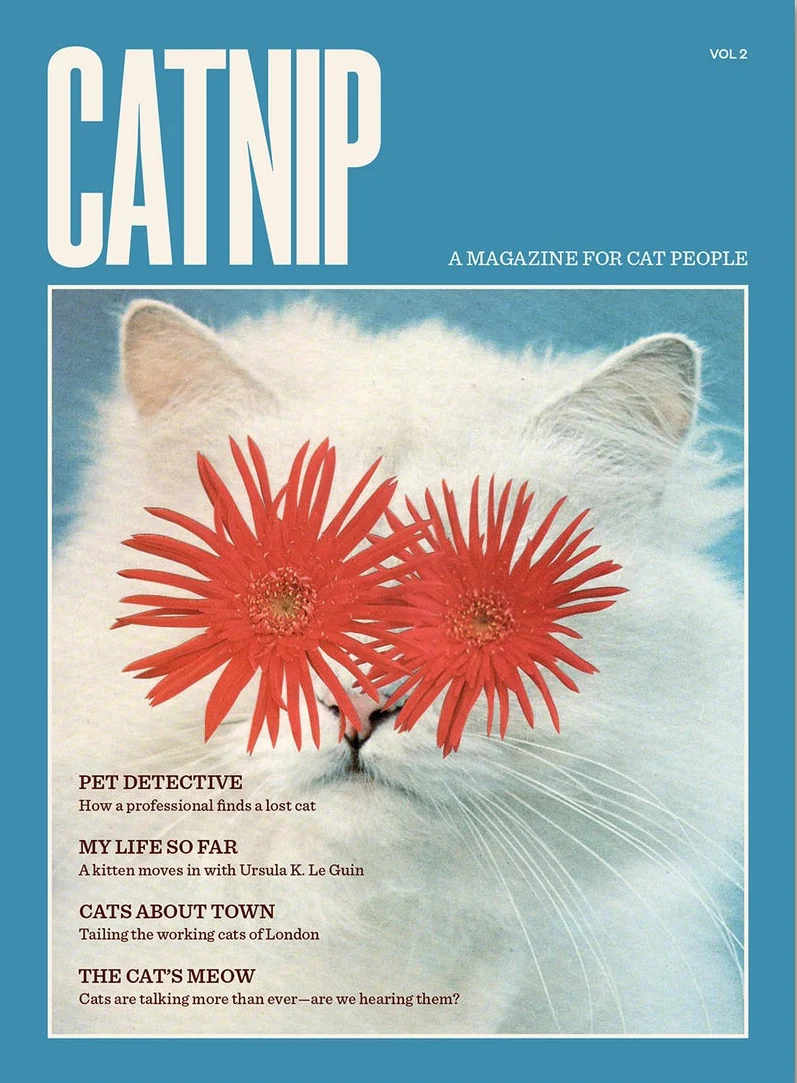 Catnip n.2