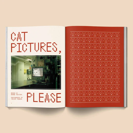Catnip n.1 - Image 10