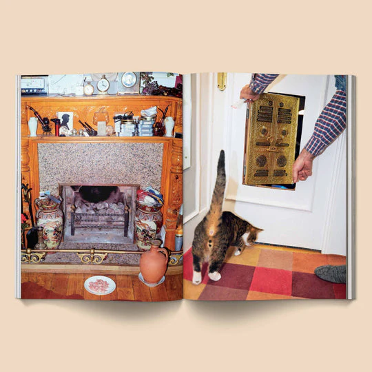 Catnip n.1 - Image 11
