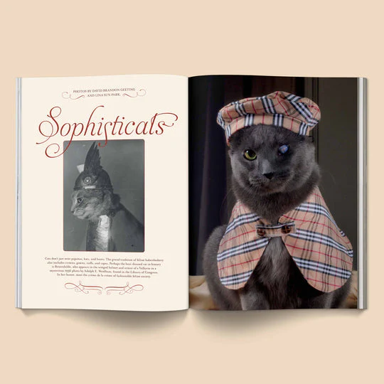 Catnip n.1 - Image 3
