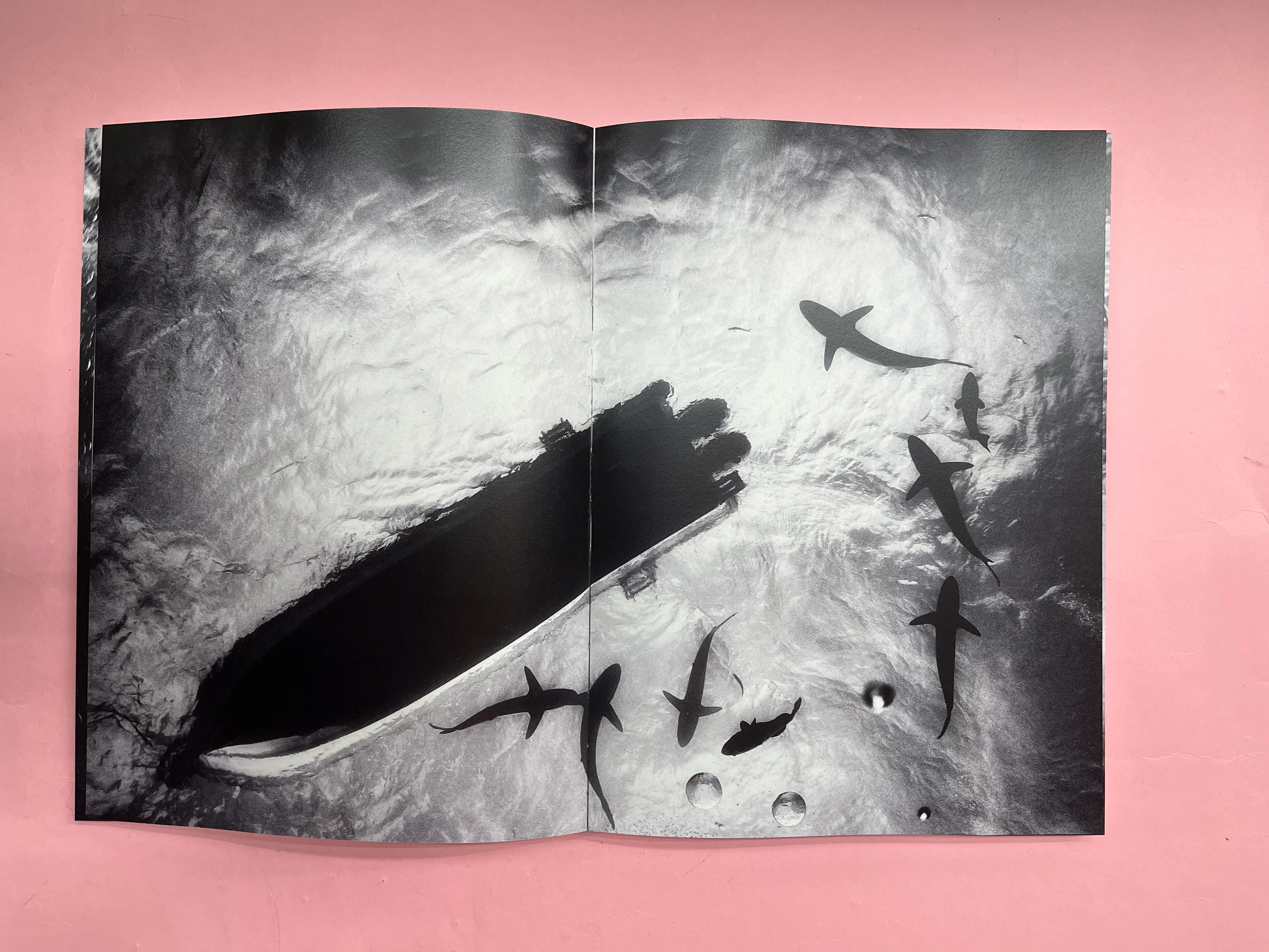 EKI n.6 - Image 2