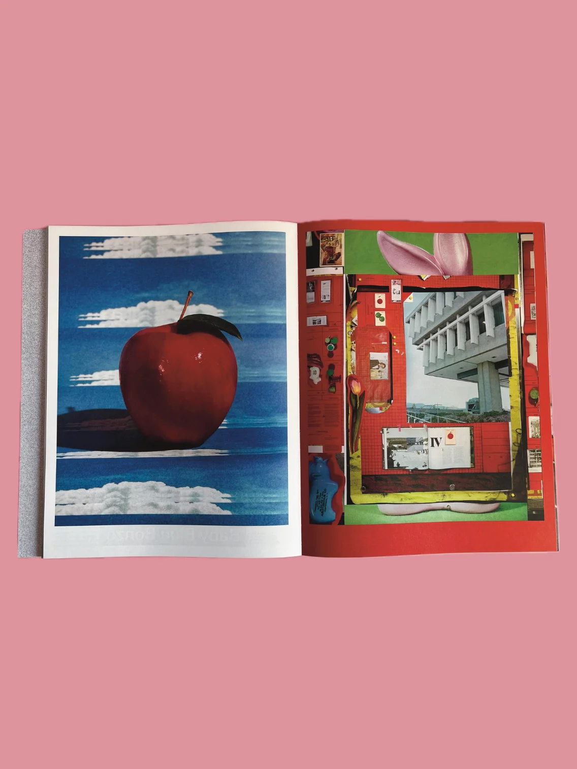 Foam n.67 - Image 4
