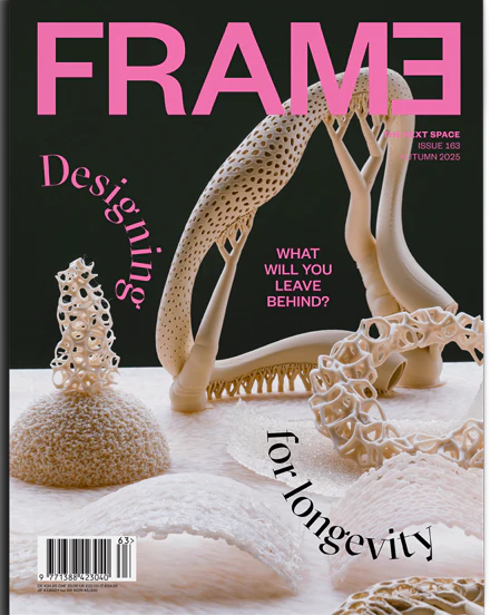 Frame n.163
