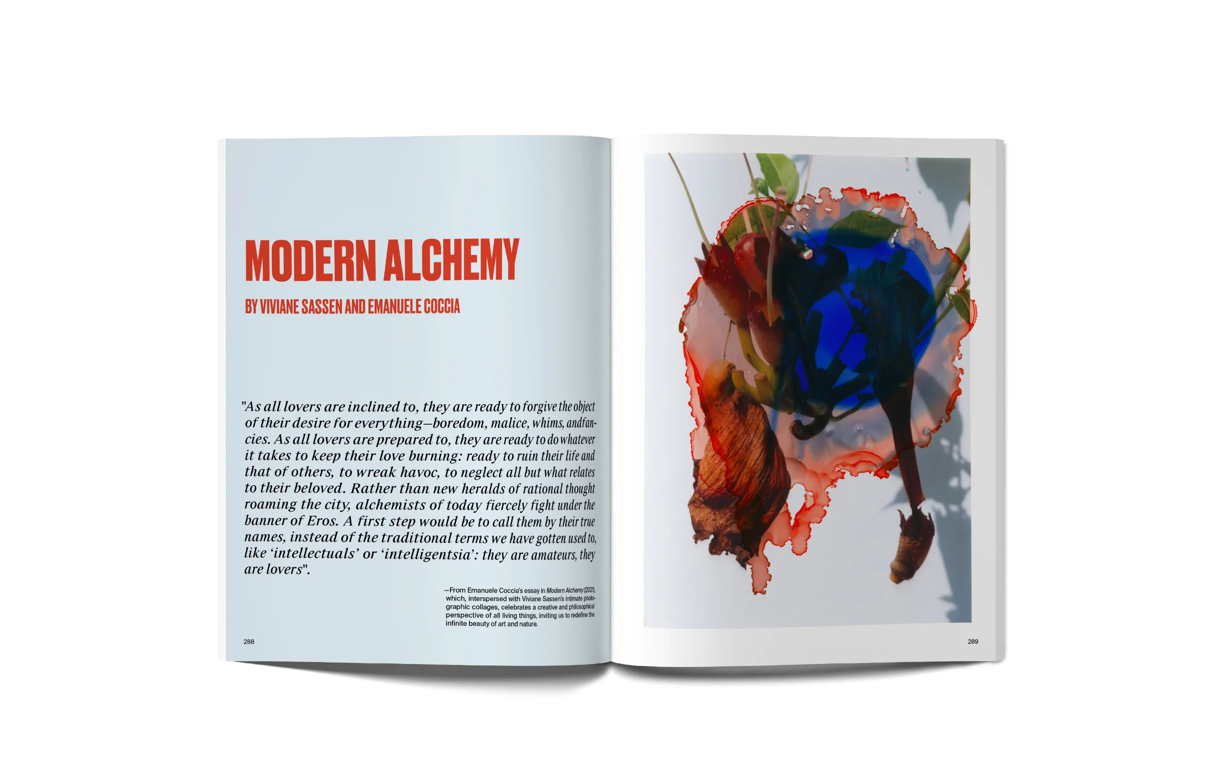 Hube n.2 - Image 6