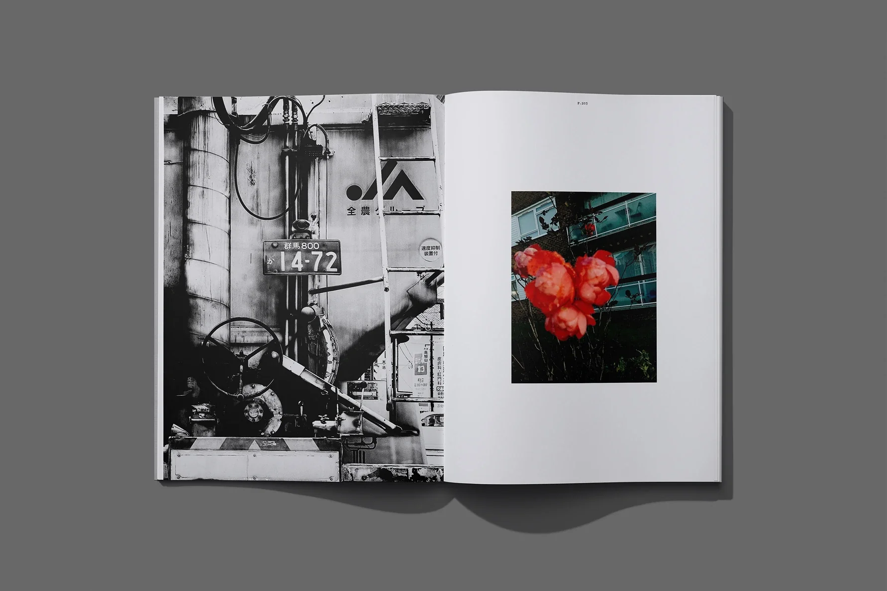 INQUE n.3 - Image 2