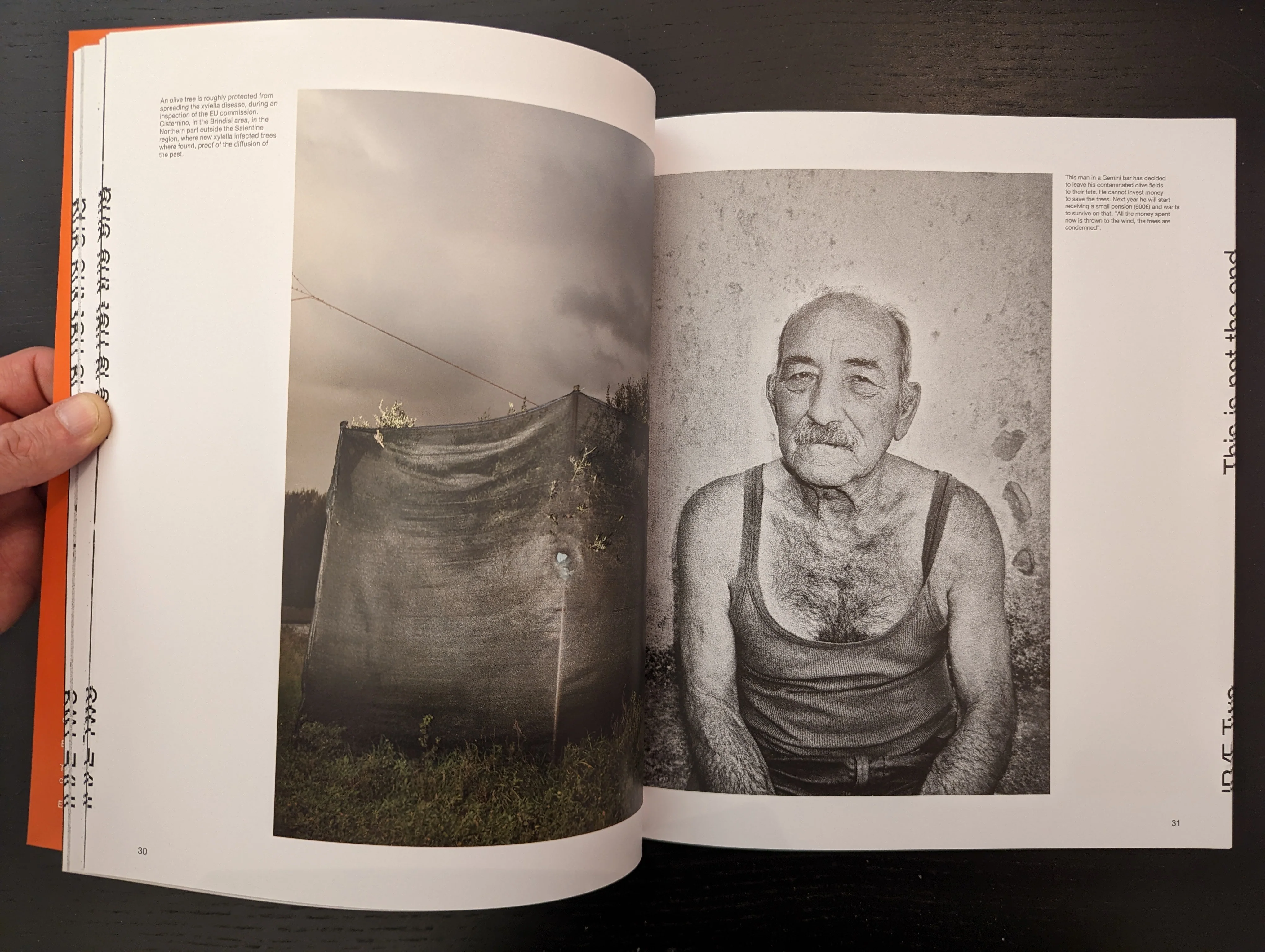 Irae n.2 - Image 10