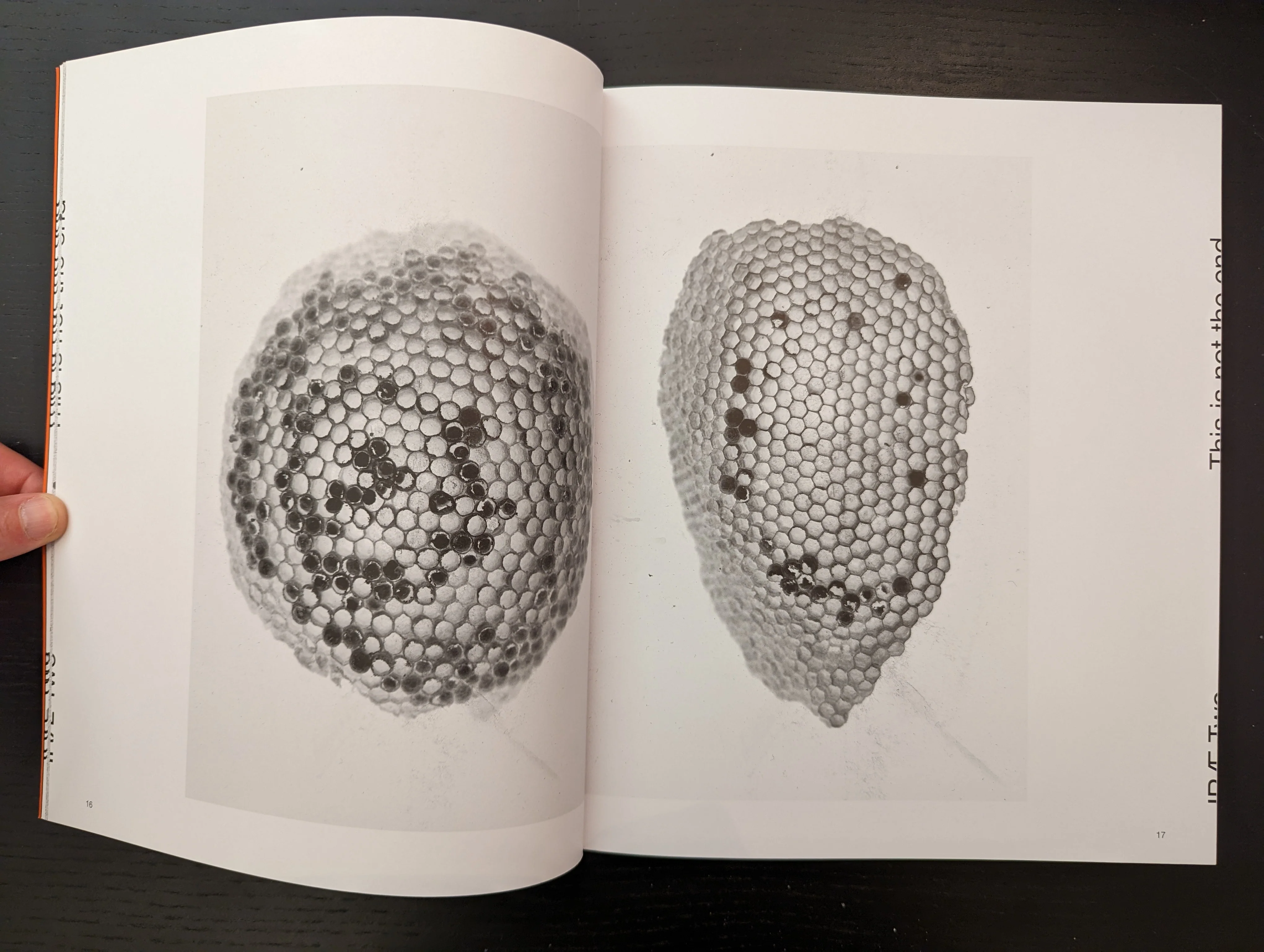 Irae n.2 - Image 11