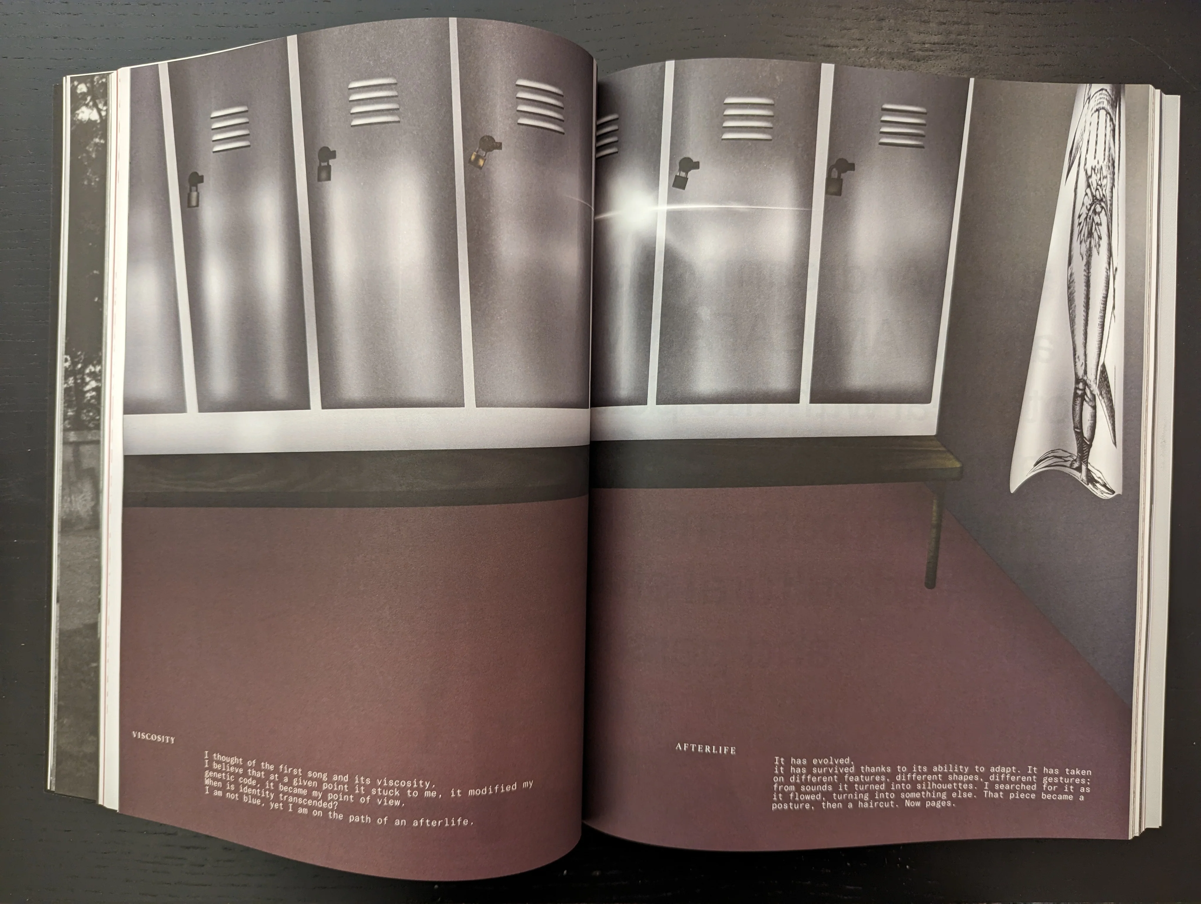 Irae n.2 - Image 17