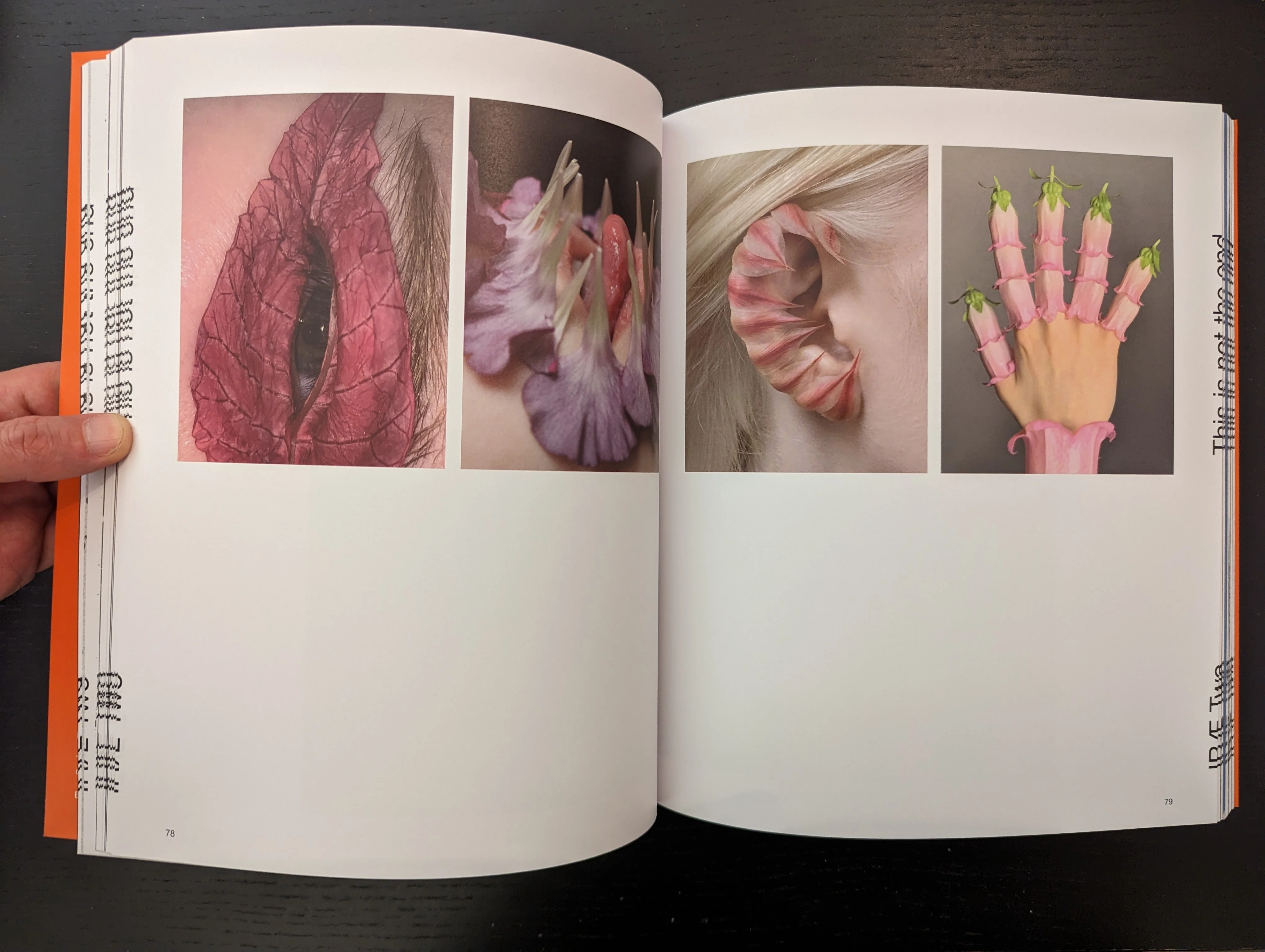 Irae n.2 - Image 3