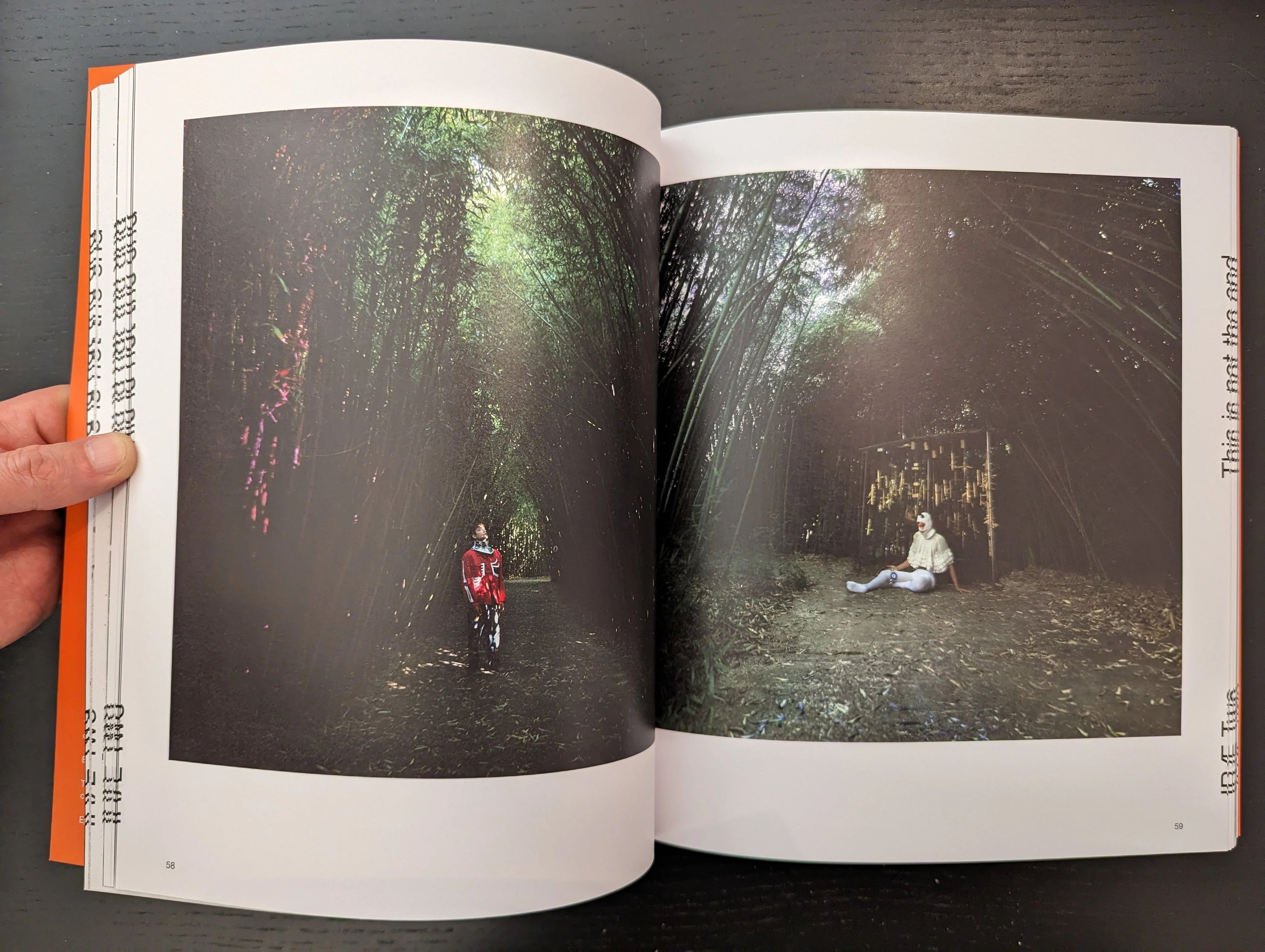 Irae n.2 - Image 4