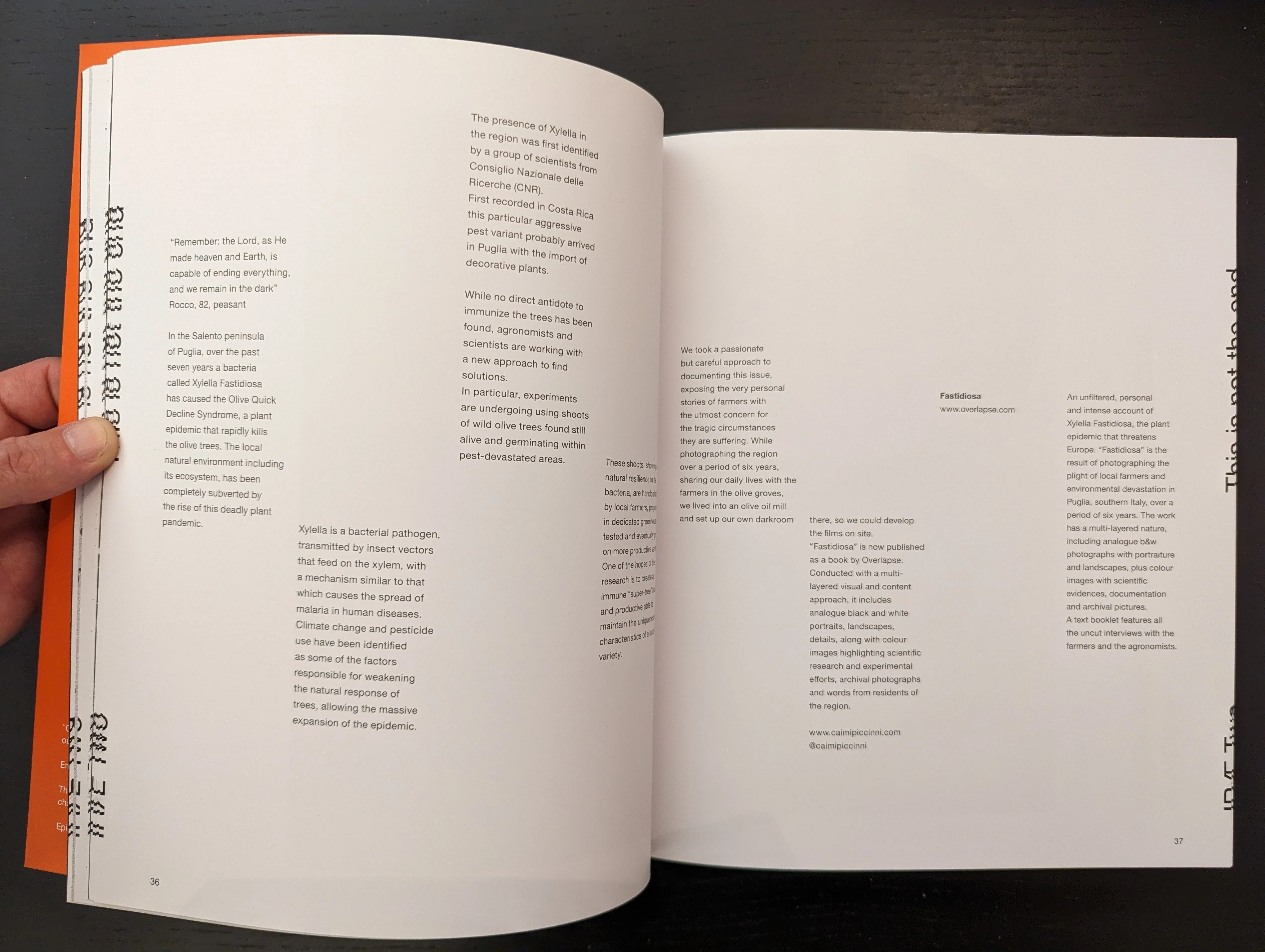 Irae n.2 - Image 9