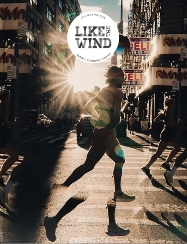 Like the wind n.45