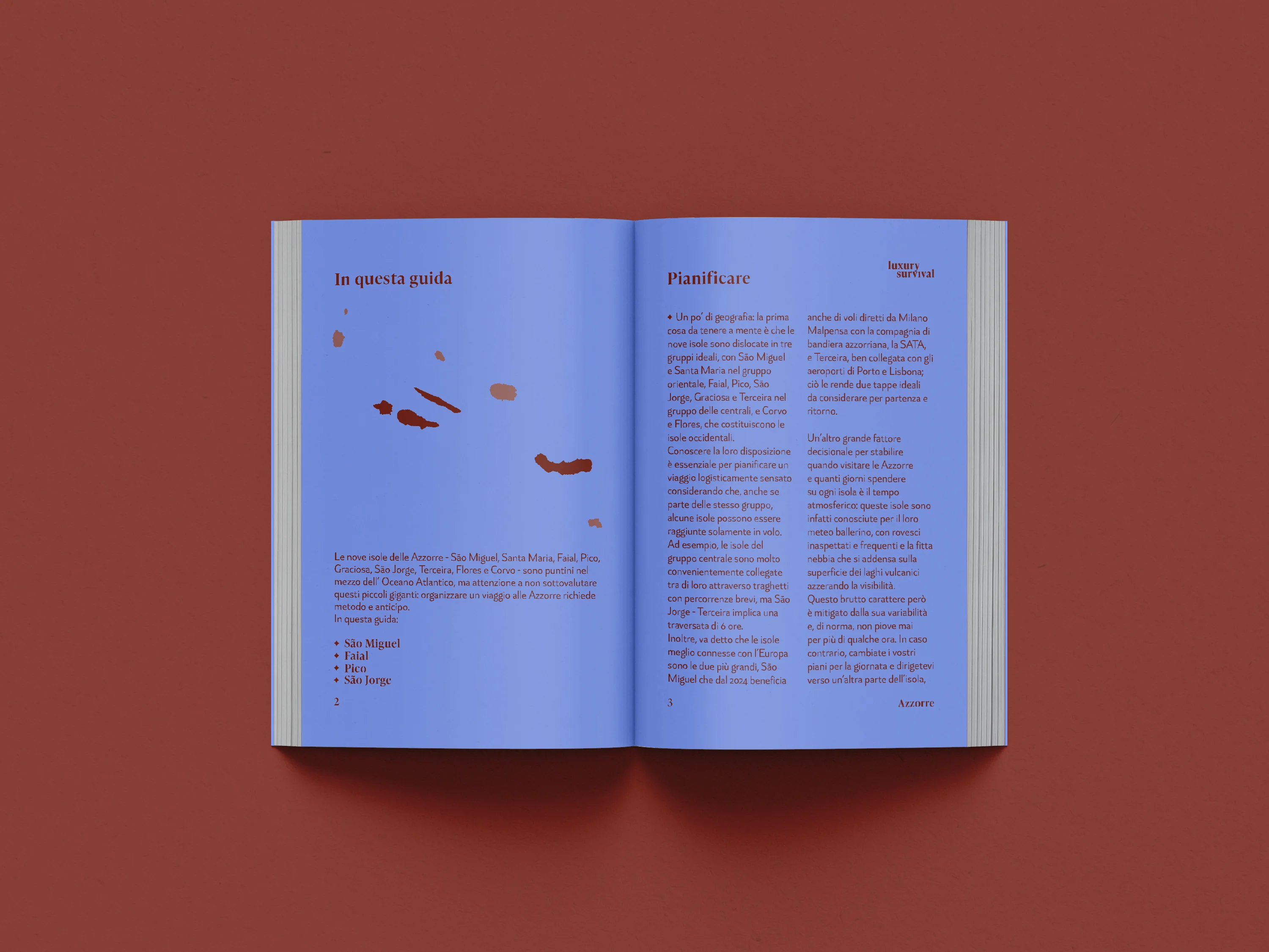 Luxury Survival n.1 - Image 2