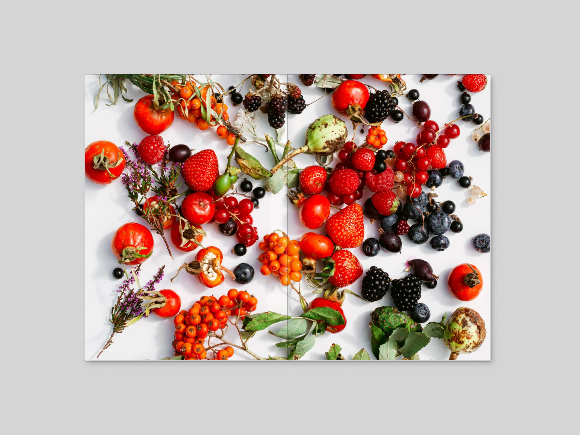 Magazine F - BERRY - Image 10
