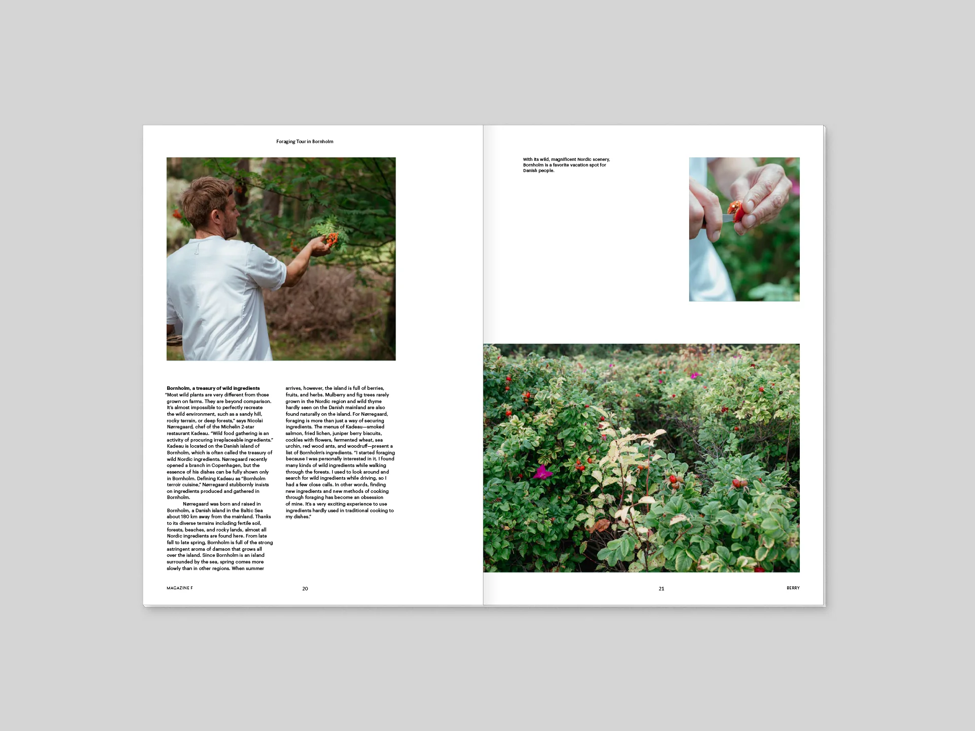 Magazine F - BERRY - Image 7