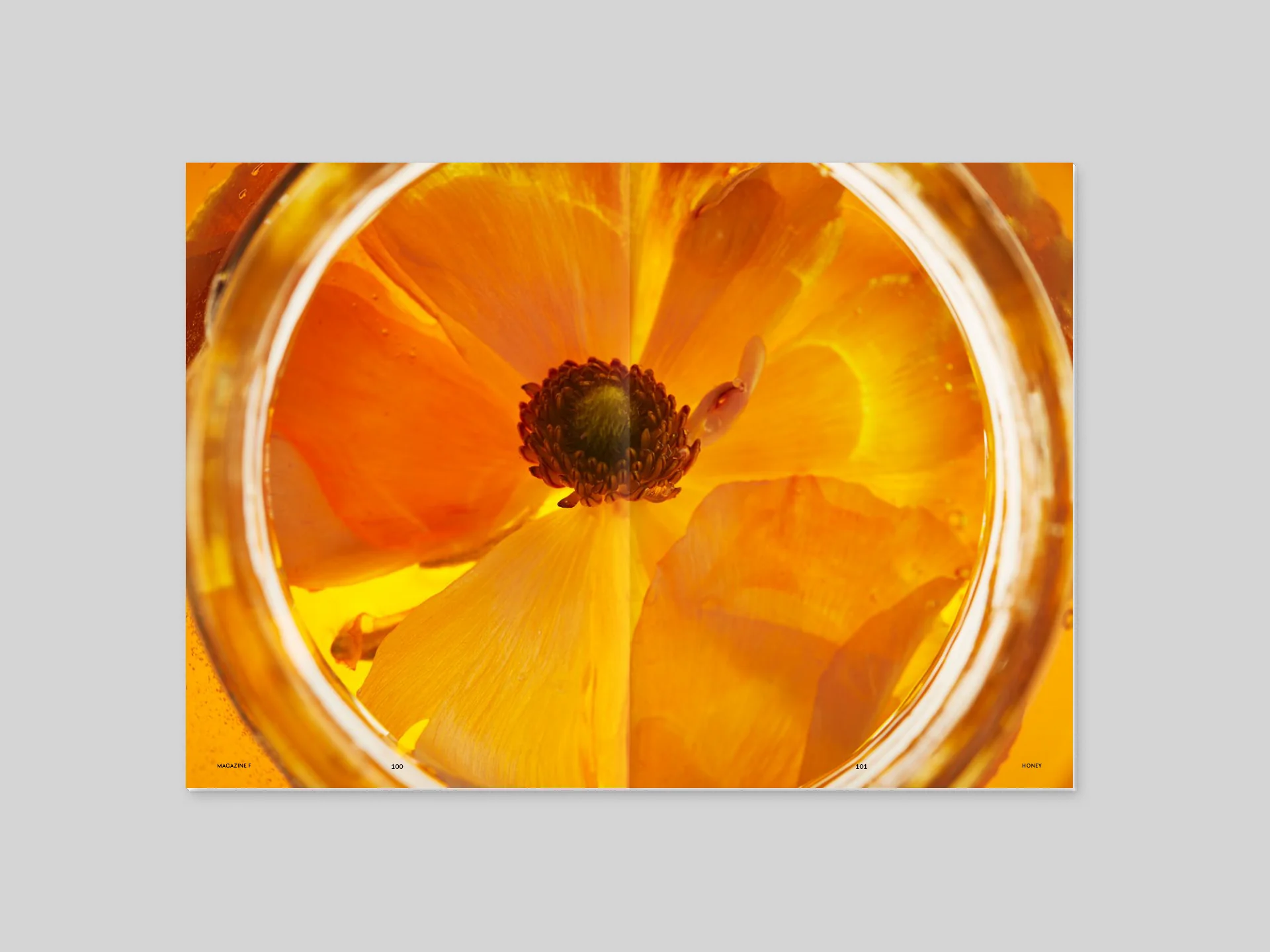 Magazine F n.8 - Honey - Image 2