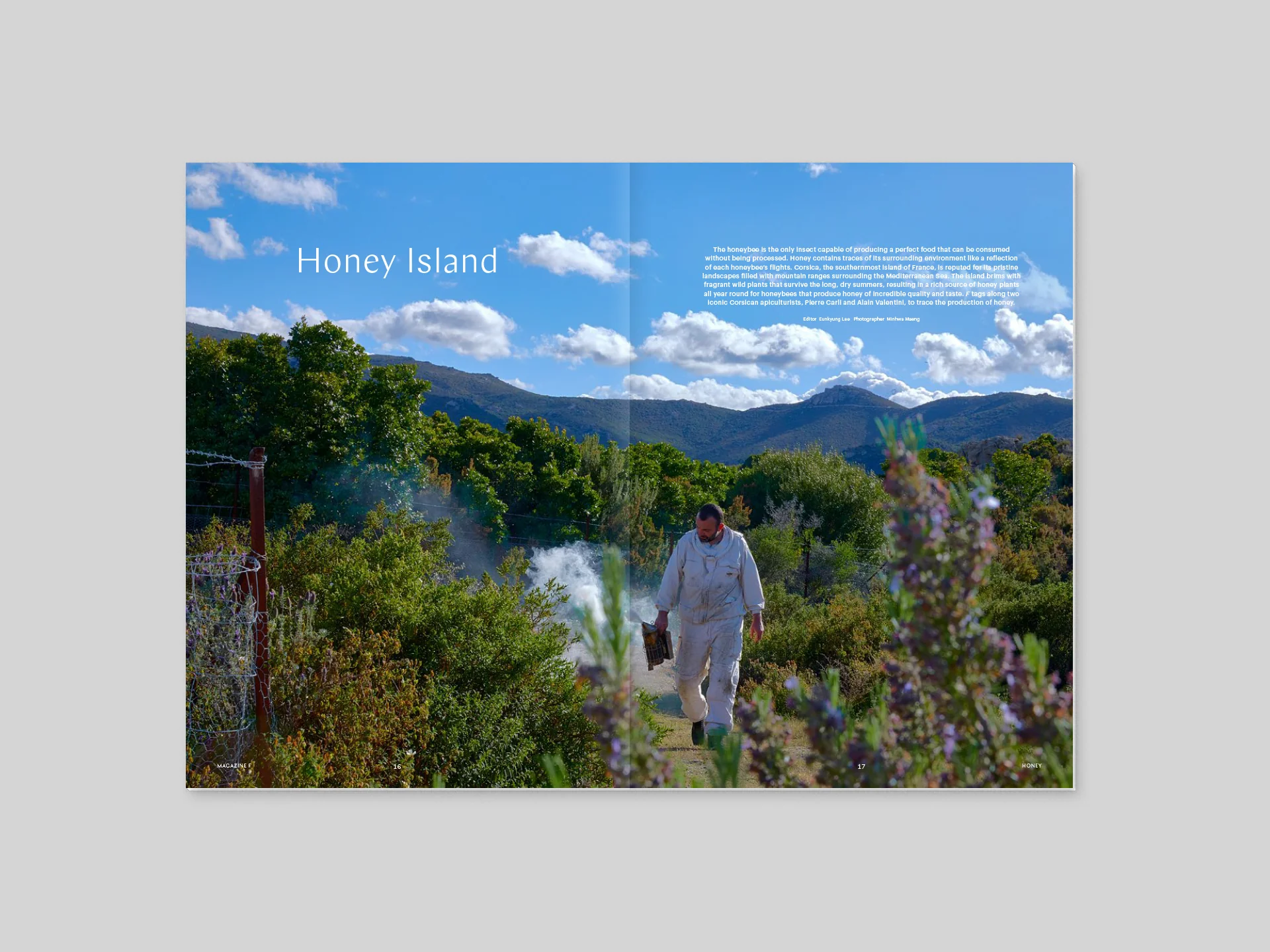 Magazine F n.8 - Honey - Image 6