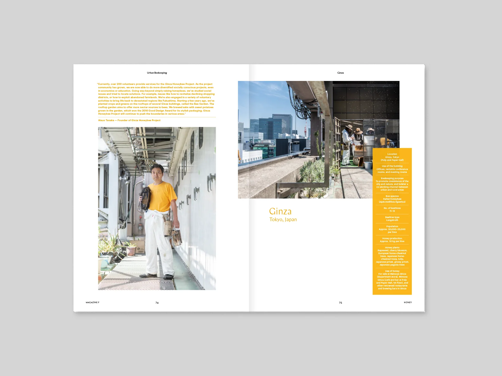 Magazine F n.8 - Honey - Image 7