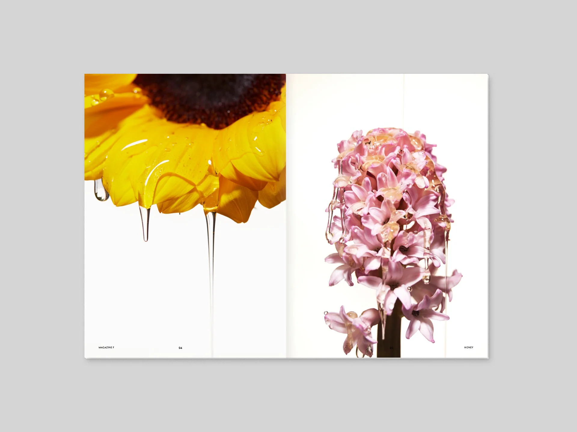 Magazine F n.8 - Honey - Image 9