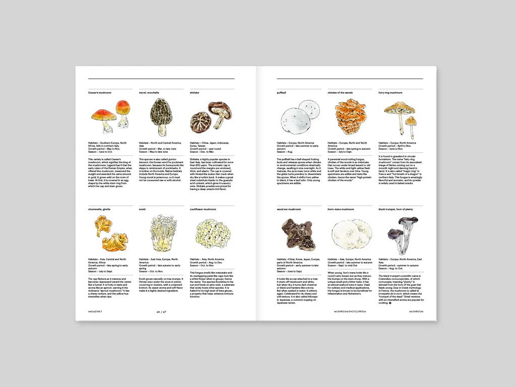 Magazine F n.23 - Mushroom - Image 5
