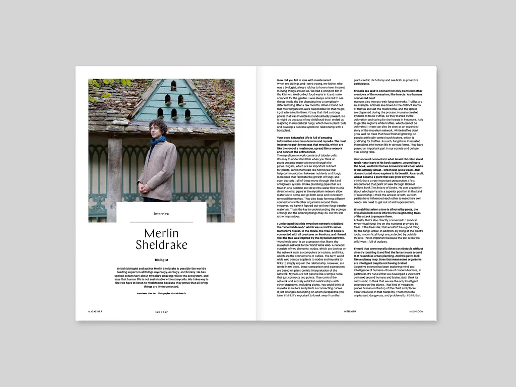 Magazine F n.23 - Mushroom - Image 6