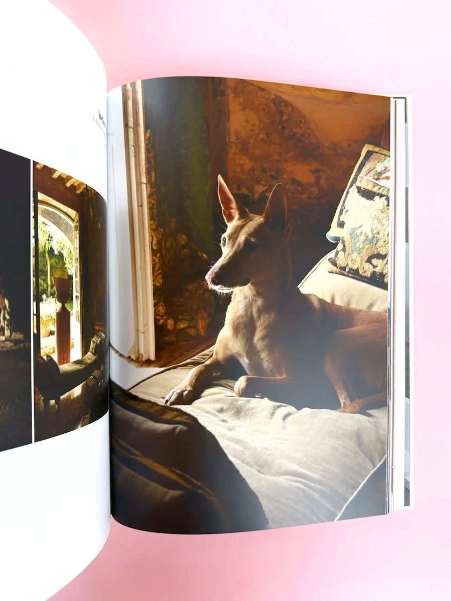 Mia le Journal n.20 - Image 12
