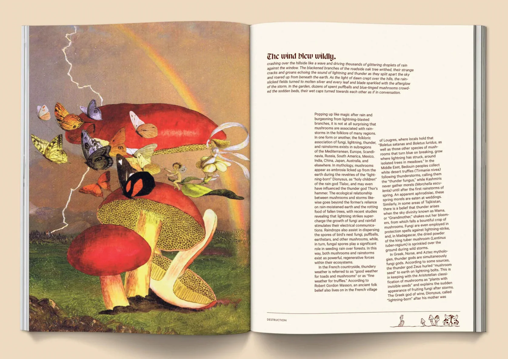 Mushroom People n.2 - Image 9