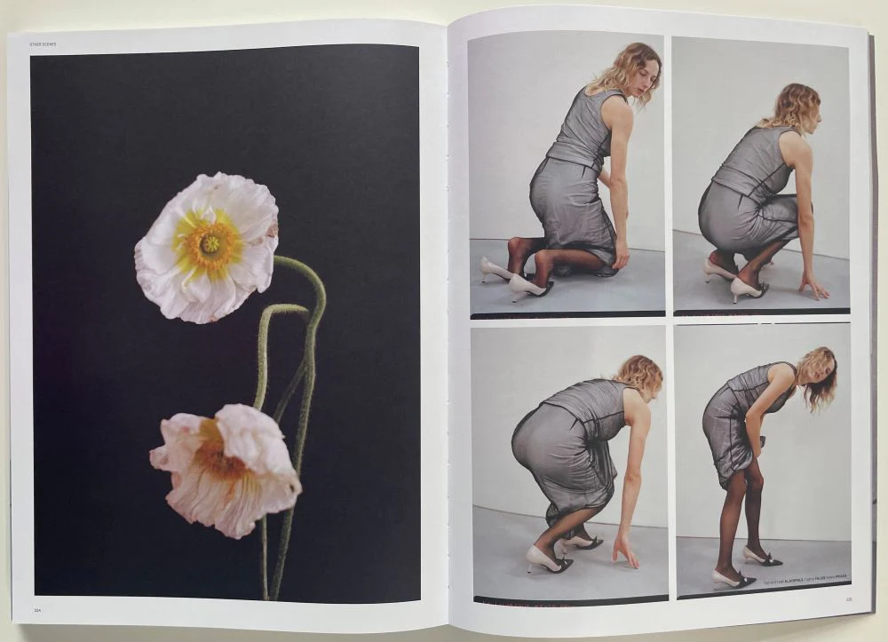Other scenes n.4 - Image 7