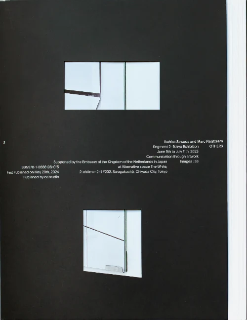 OTHERS: Segment n.2