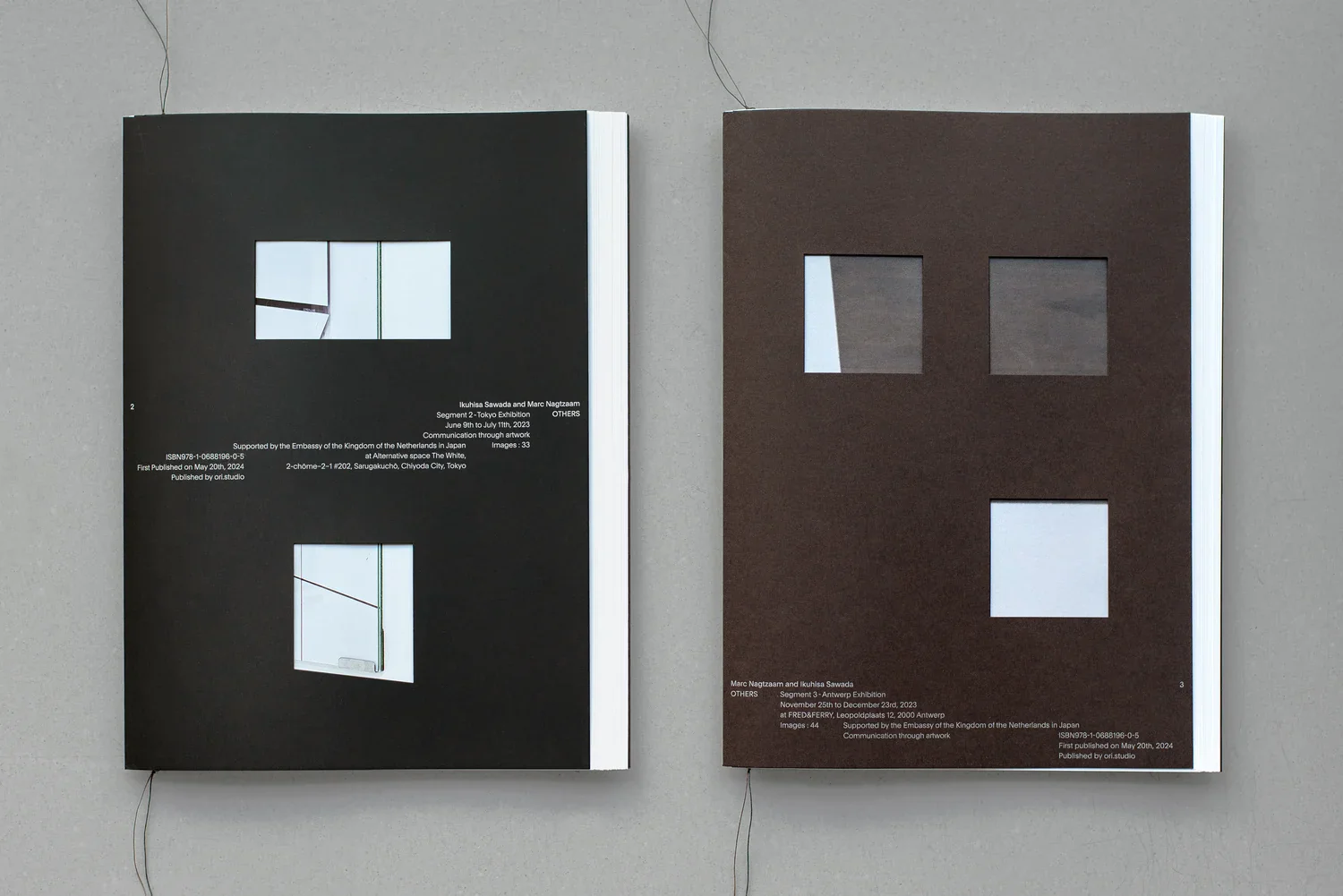 OTHERS: Segment n.2 - Image 2