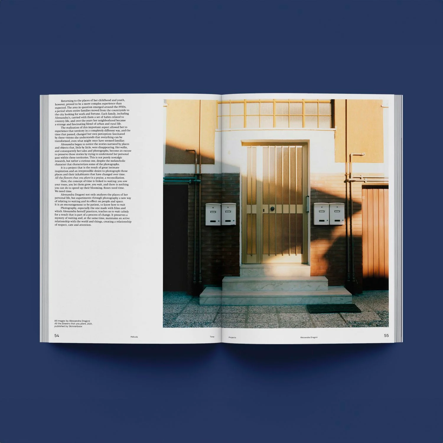 Pellicola n.1 - Image 9