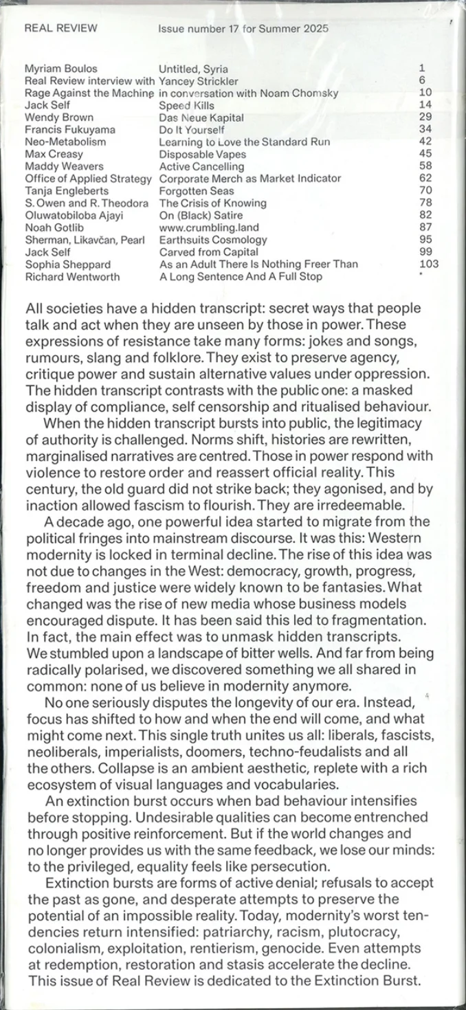 Real Review n.17 - Image 9