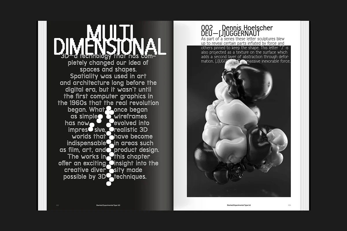 Slanted Experimental Type 3.0 - Image 3