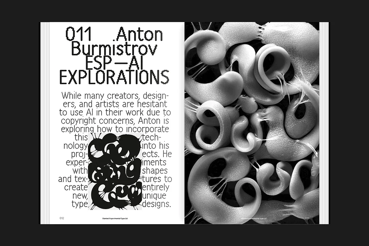 Slanted Experimental Type 3.0 - Image 4