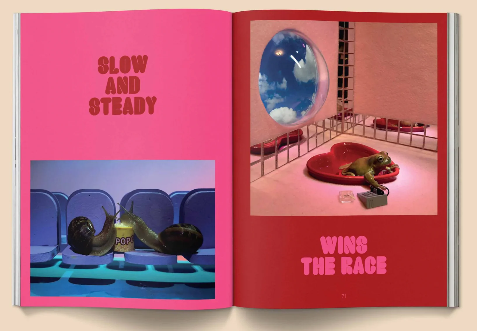 Snail world - Image 6