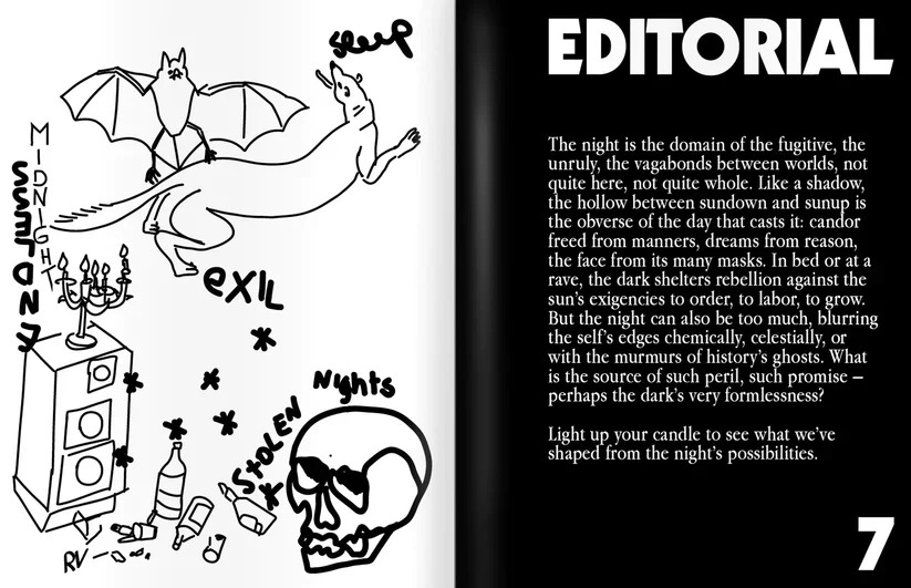 Spike art magazine n.78 - Image 7