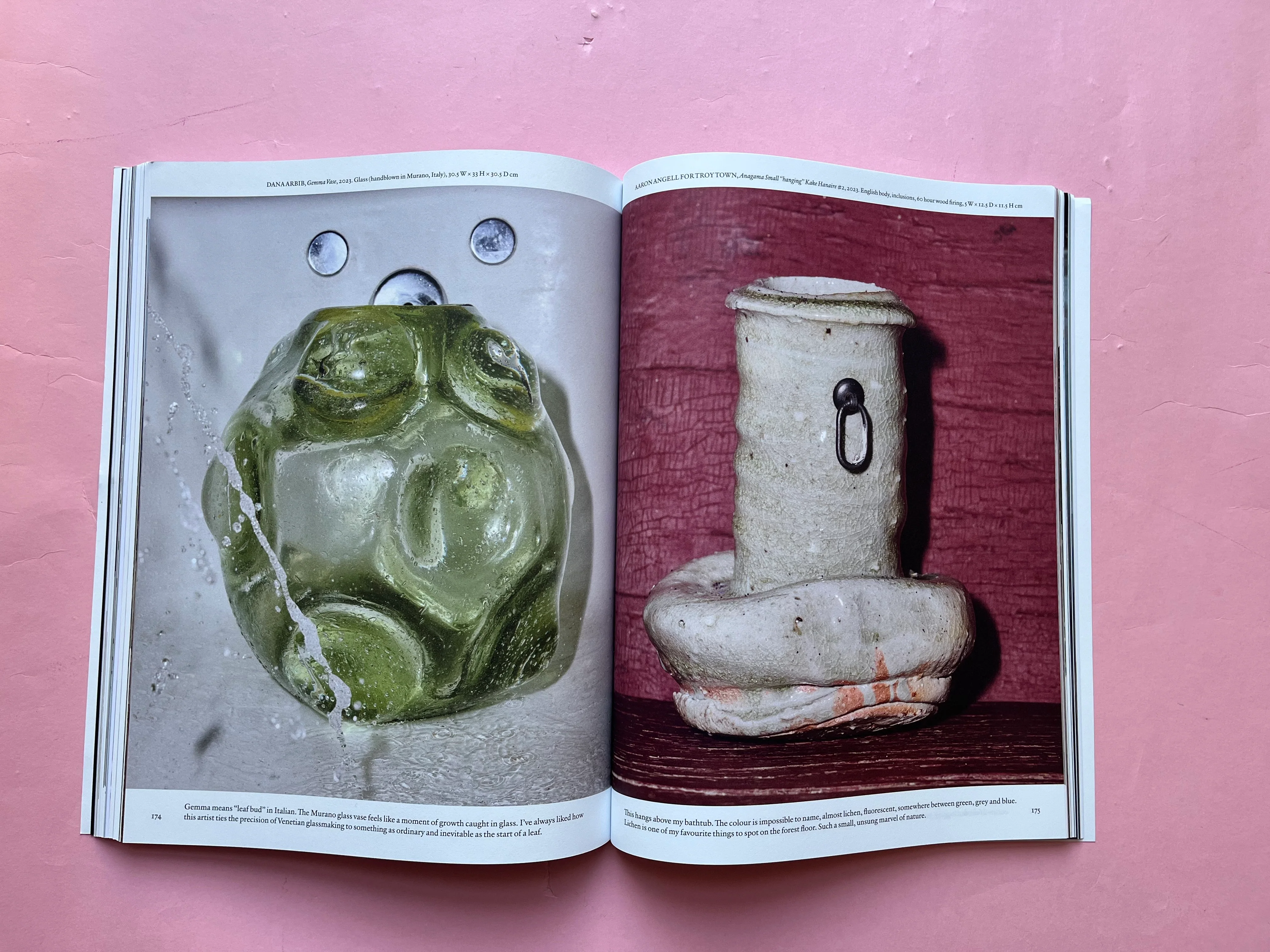 The Plant n.24 - Image 5