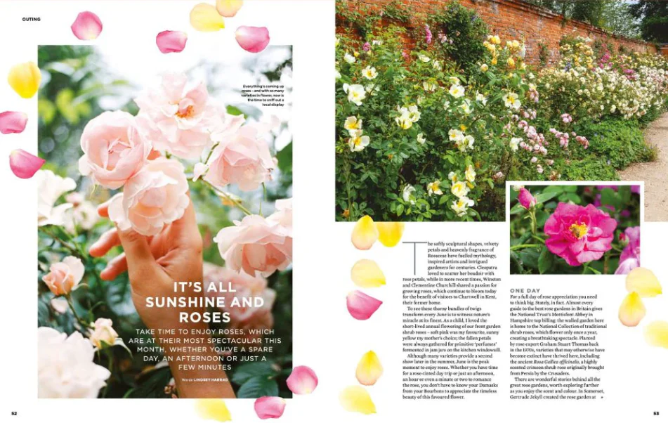 The simple things n.144 - Image 3